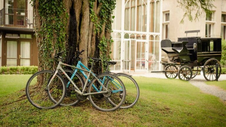 Bicycles beside a tree at Cahernane